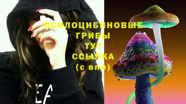 кокаин Вяземский