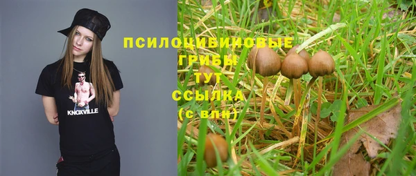 соль ск Вязьма